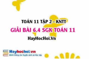 Bài 6.4 SGK Toán 11 Tập 2 Kết nối tri thức